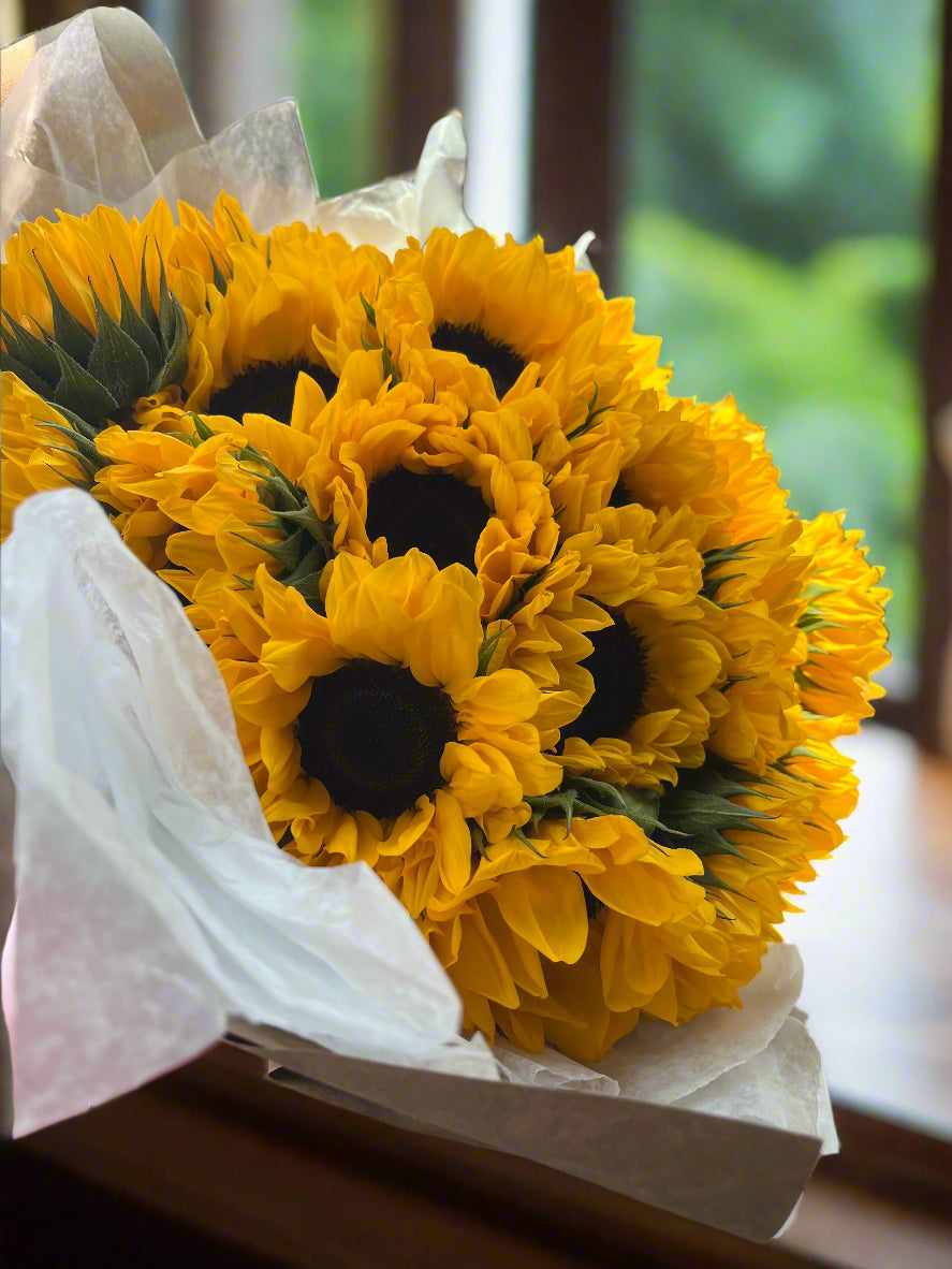 Pocket Full of Sunshine